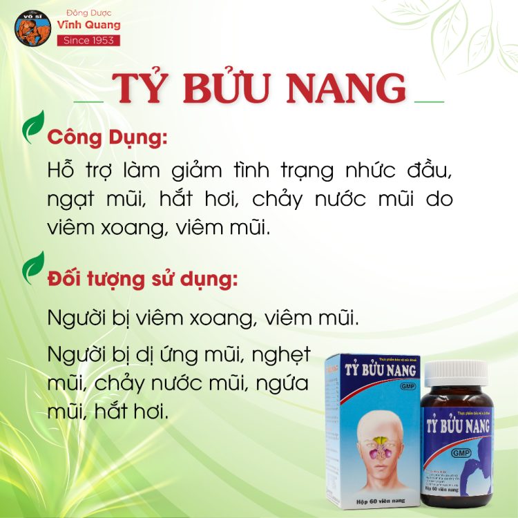 Tỷ Bửu Nang Vĩnh Quang giúp ngăn ngừa và hỗ trợ làm giảm các chứng bệnh về mũi nào?