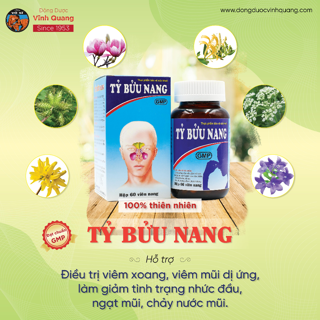 Tỷ Bửu Nang hỗ trợ điều trị viêm xoang, viêm mũi dị ứng...