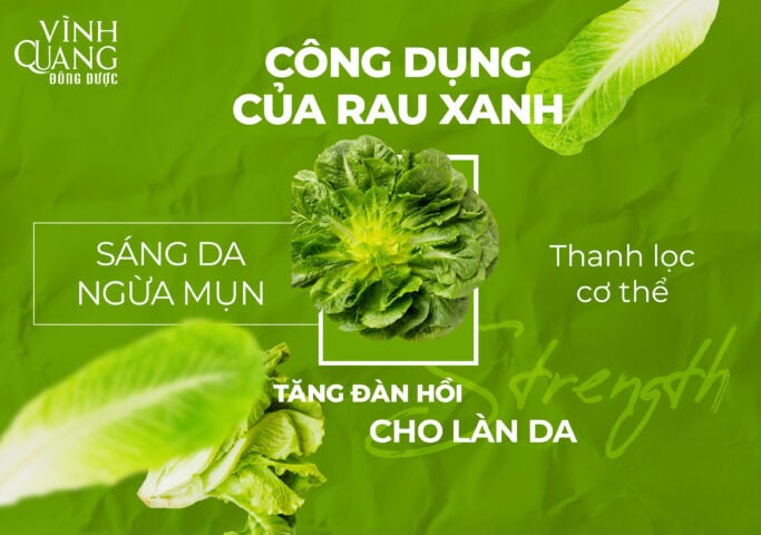Bổ sung rau xanh mỗi ngày – kết hợp cùng Xuân Nữ để khỏe đẹp từ bên trong