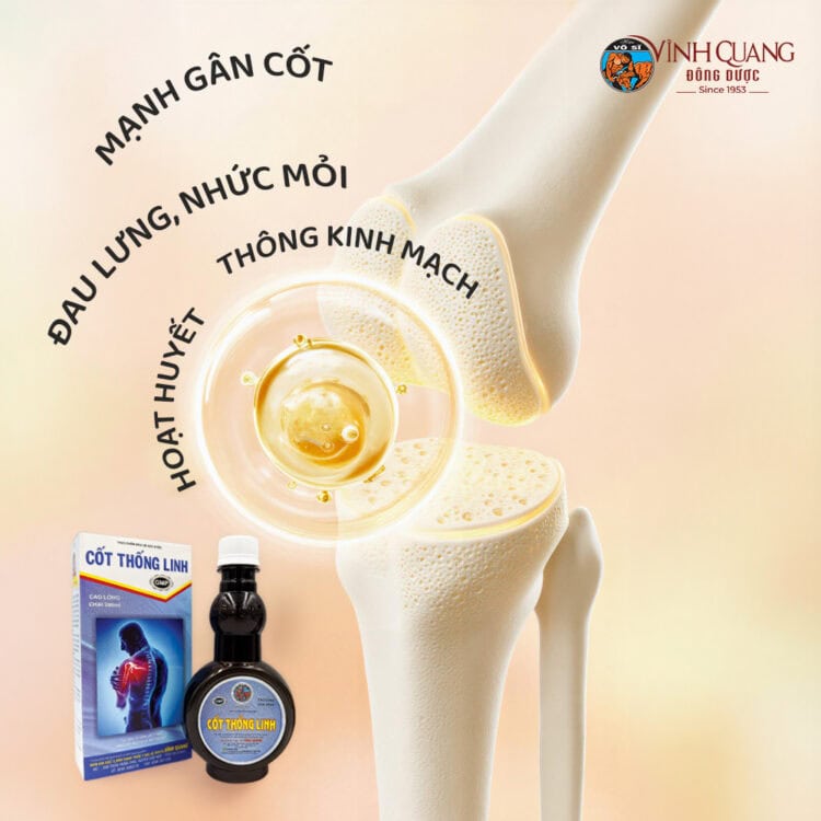 Cốt Thống Linh cao lỏng hỗ trợ chăm sóc xương khớp