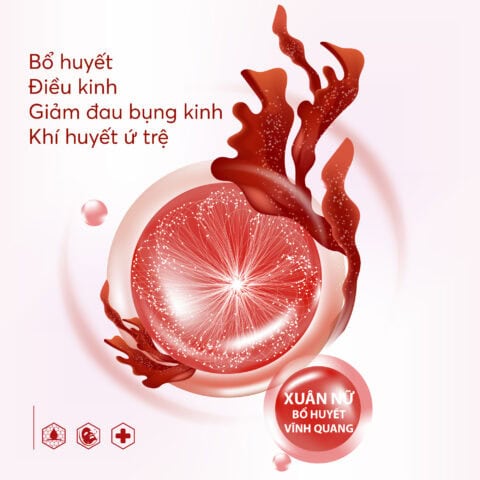 xuan nu bo huyet vinh quang