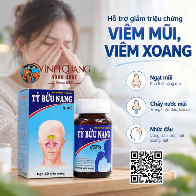 Tỷ Bửu Nang Vĩnh Quang hộp 60 viên nang hỗ trợ giảm triệu chứng viêm mũi, viêm xoang.